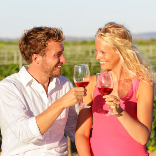 Experiencia vino, bodegas, viñedos