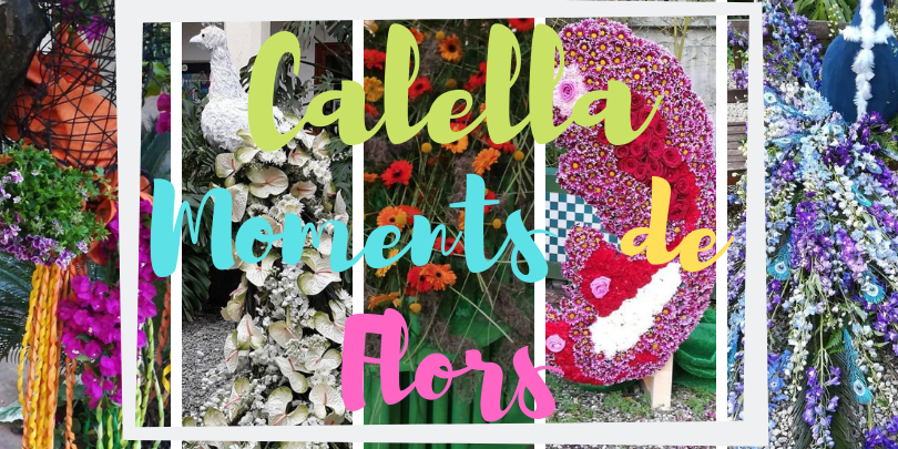 Copia de Girona Temps de Flors (1)